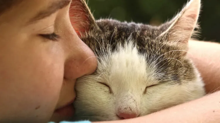 por qué los gatos se te meten en la cara mientras duermes